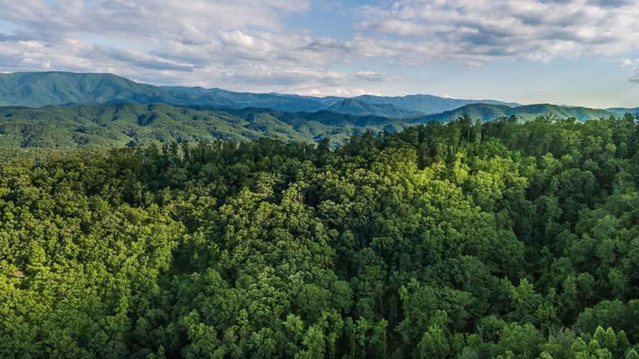 View! Private! Hot Tub,Pool Table,Fireplace,Relax! Sevierville Bagian luar foto
